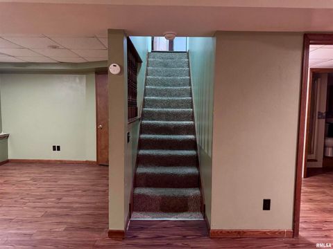 Tiny photo for 916 7TH Street, Fulton, IL 61252 (MLS # QC4268520)