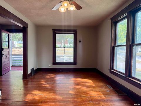 Tiny photo for 916 7TH Street, Fulton, IL 61252 (MLS # QC4268520)