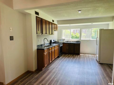 Tiny photo for 602 5TH Street, Rock Island, IL 61201 (MLS # QC4265454)