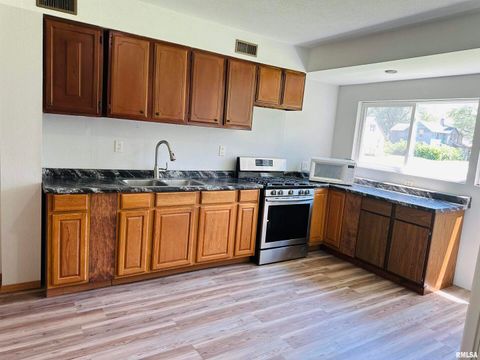 Tiny photo for 602 5TH Street, Rock Island, IL 61201 (MLS # QC4265454)