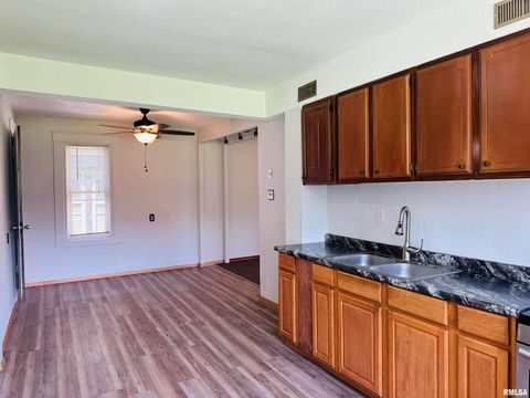 Tiny photo for 602 5TH Street, Rock Island, IL 61201 (MLS # QC4265454)