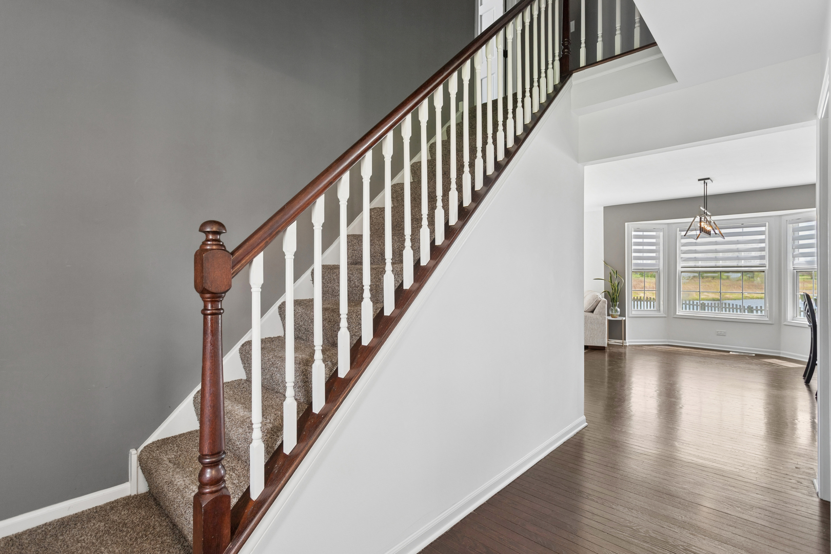 208 Long Meadow Court