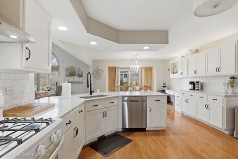 Tiny photo for 10926 Moose Lane, Orland Park, IL 60467 (MLS # 12601164)