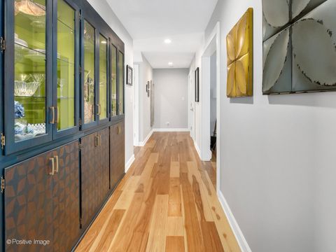 Tiny photo for 6555 Shabbona Road, Indian Head Park, IL 60525 (MLS # 12590486)