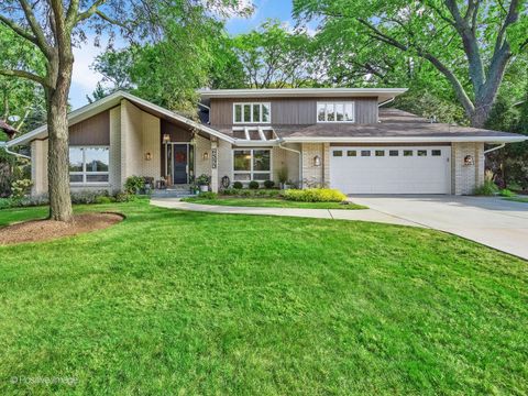 Photo of 6555 Shabbona Road, Indian Head Park, IL 60525 (MLS # 12590486)