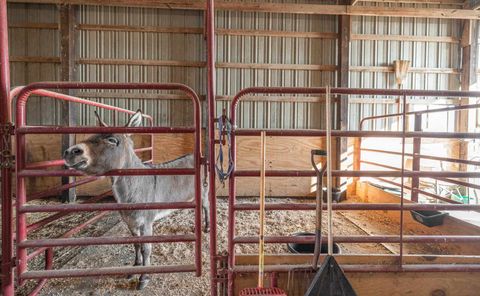 Tiny photo for 1740 Brier Creek Road #1, Harrisburg, IL 62946 (MLS # 100000613)