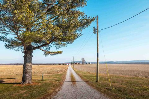 Tiny photo for 1740 Brier Creek Road #1, Harrisburg, IL 62946 (MLS # 100000613)