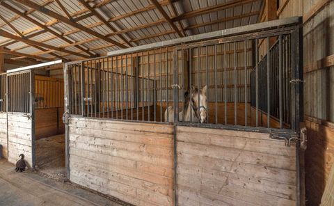 Tiny photo for 1740 Brier Creek Road #1, Harrisburg, IL 62946 (MLS # 100000613)