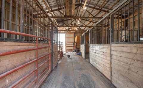 Tiny photo for 1740 Brier Creek Road #1, Harrisburg, IL 62946 (MLS # 100000613)