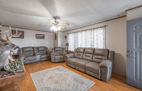 Tiny photo for 1740 Brier Creek Road #1, Harrisburg, IL 62946 (MLS # 100000613)