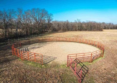 Tiny photo for 1740 Brier Creek Road #1, Harrisburg, IL 62946 (MLS # 100000613)