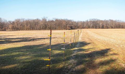 Tiny photo for 1740 Brier Creek Road #1, Harrisburg, IL 62946 (MLS # 100000613)