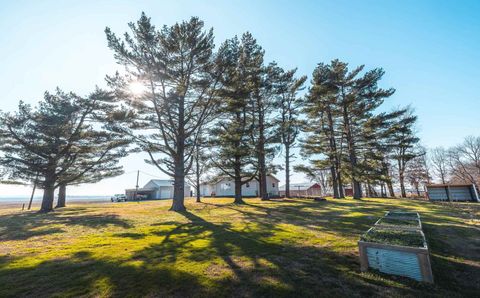 Tiny photo for 1740 Brier Creek Road #1, Harrisburg, IL 62946 (MLS # 100000613)