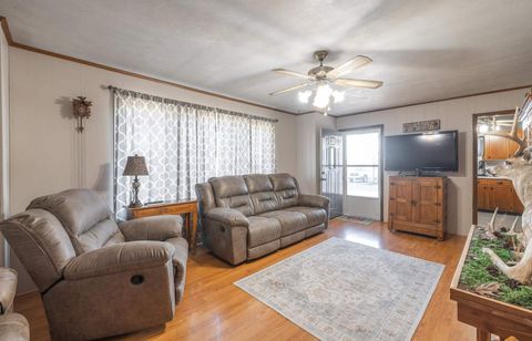 Tiny photo for 1740 Brier Creek Road #1, Harrisburg, IL 62946 (MLS # 100000613)