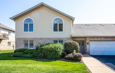 Photo of 180 Barbara Jean Lane #180, Joliet, IL 60436 (MLS # 12459056)