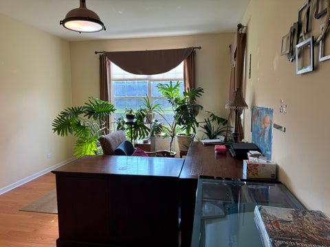 Tiny photo for 19 N Empress Drive, Hawthorn Woods, IL 60047 (MLS # 12741061)