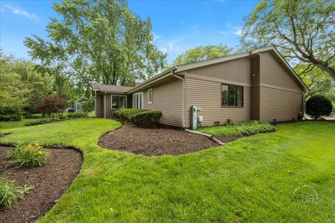 Tiny photo for 1105 W Bauer Road, Naperville, IL 60563 (MLS # 12517336)