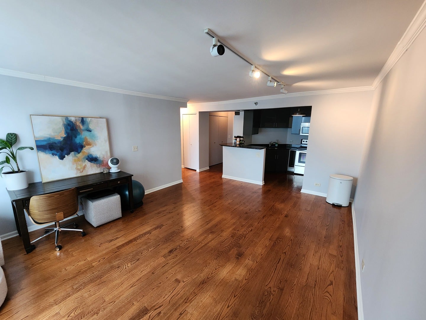 195 N Harbor Drive 3807
