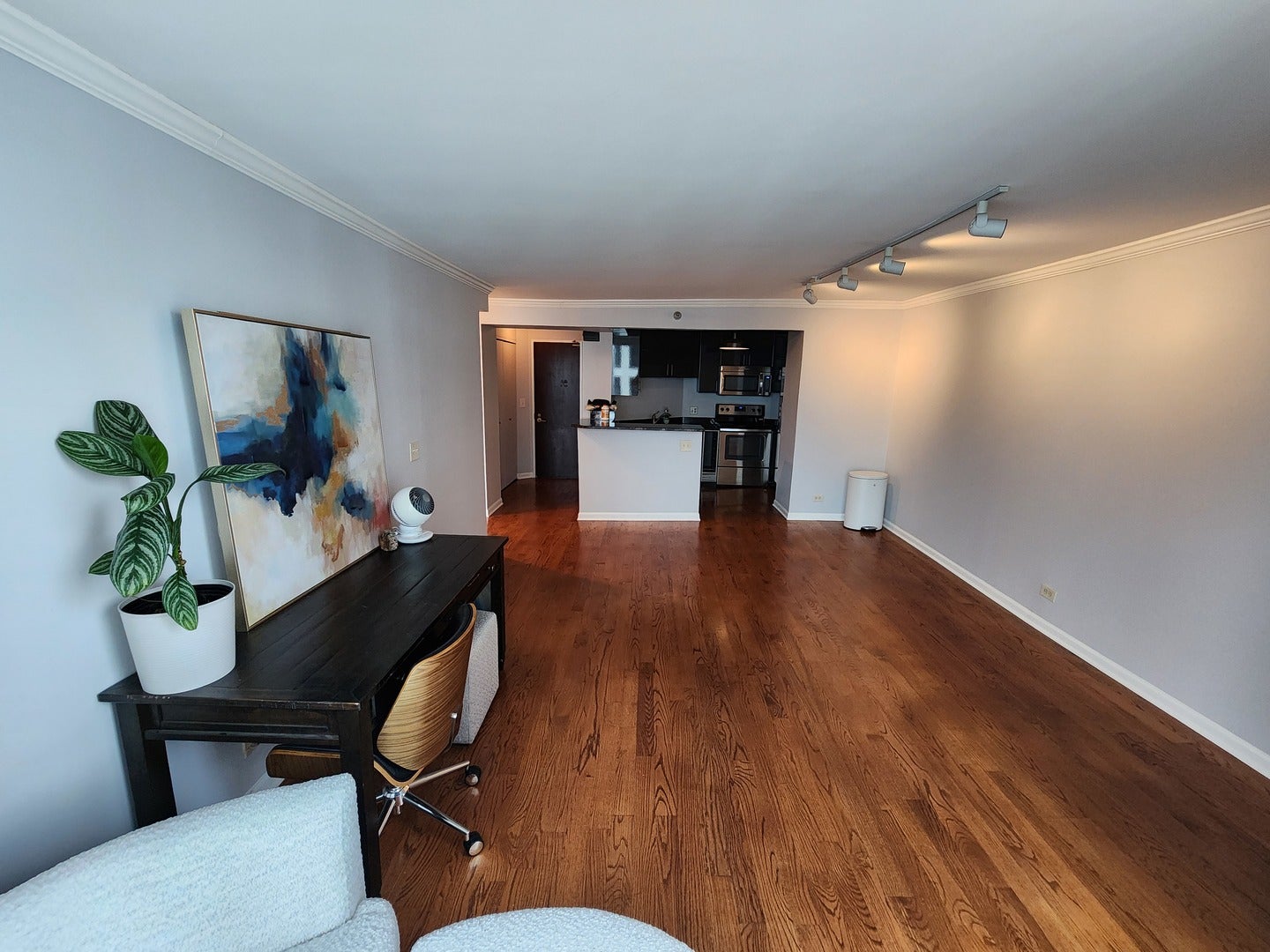 195 N Harbor Drive 3807