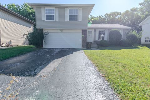 19825 S Farmington Lane Frankfort IL 60423