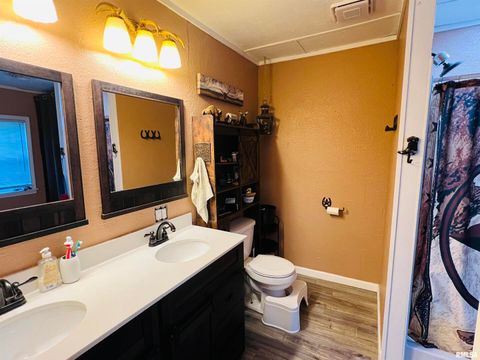 Tiny photo for 25001 W Old Salt Trail, Stonefort, IL 62987 (MLS # EB459680)