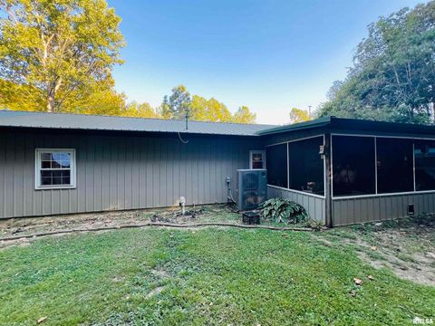 Tiny photo for 25001 W Old Salt Trail, Stonefort, IL 62987 (MLS # EB459680)