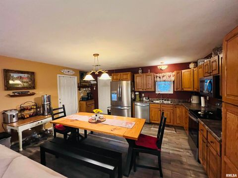 Tiny photo for 25001 W Old Salt Trail, Stonefort, IL 62987 (MLS # EB459680)