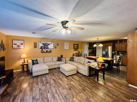 Tiny photo for 25001 W Old Salt Trail, Stonefort, IL 62987 (MLS # EB459680)