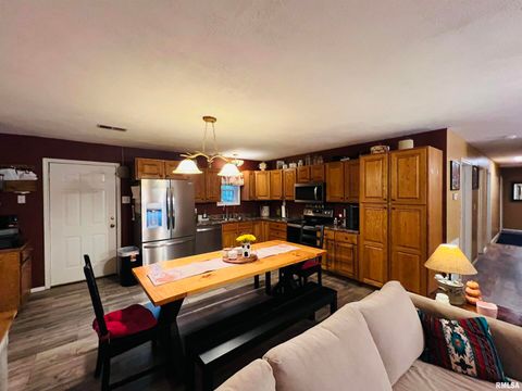 Tiny photo for 25001 W Old Salt Trail, Stonefort, IL 62987 (MLS # EB459680)