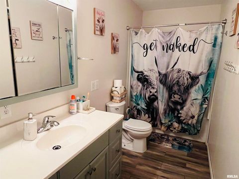 Tiny photo for 25001 W Old Salt Trail, Stonefort, IL 62987 (MLS # EB459680)