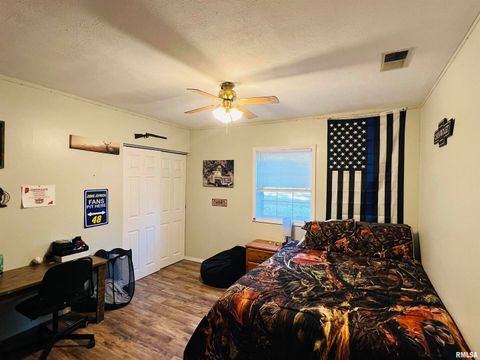 Tiny photo for 25001 W Old Salt Trail, Stonefort, IL 62987 (MLS # EB459680)