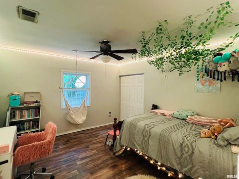 Tiny photo for 25001 W Old Salt Trail, Stonefort, IL 62987 (MLS # EB459680)