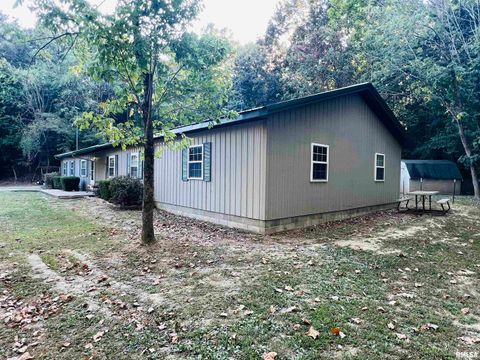 Tiny photo for 25001 W Old Salt Trail, Stonefort, IL 62987 (MLS # EB459680)