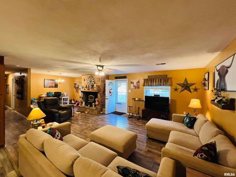 Tiny photo for 25001 W Old Salt Trail, Stonefort, IL 62987 (MLS # EB459680)