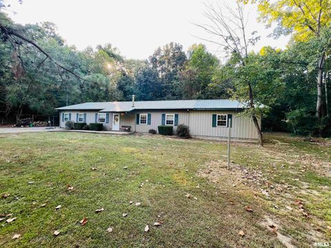 Tiny photo for 25001 W Old Salt Trail, Stonefort, IL 62987 (MLS # EB459680)