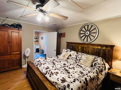 Tiny photo for 25001 W Old Salt Trail, Stonefort, IL 62987 (MLS # EB459680)