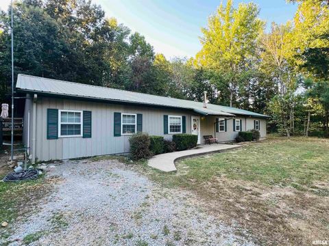 Tiny photo for 25001 W Old Salt Trail, Stonefort, IL 62987 (MLS # EB459680)