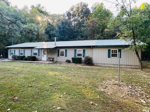 Tiny photo for 25001 W Old Salt Trail, Stonefort, IL 62987 (MLS # EB459680)