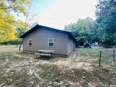 Tiny photo for 25001 W Old Salt Trail, Stonefort, IL 62987 (MLS # EB459680)