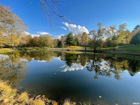 Tiny photo for 557 TWIN OAKS Drive, Cobden, IL 62920 (MLS # EB460456)