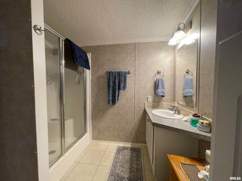 Tiny photo for 557 TWIN OAKS Drive, Cobden, IL 62920 (MLS # EB460456)