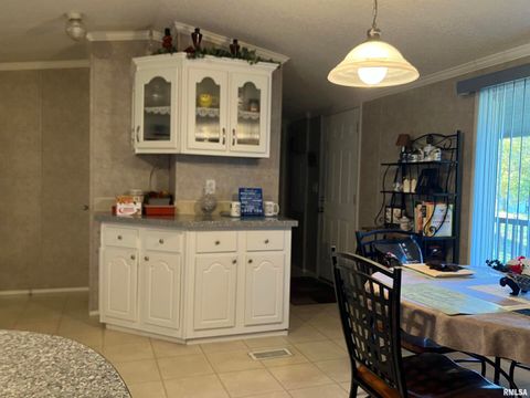 Tiny photo for 557 TWIN OAKS Drive, Cobden, IL 62920 (MLS # EB460456)