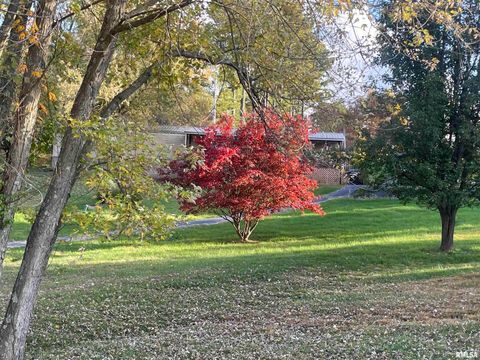 Tiny photo for 557 TWIN OAKS Drive, Cobden, IL 62920 (MLS # EB460456)