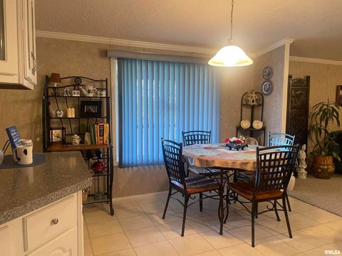 Tiny photo for 557 TWIN OAKS Drive, Cobden, IL 62920 (MLS # EB460456)