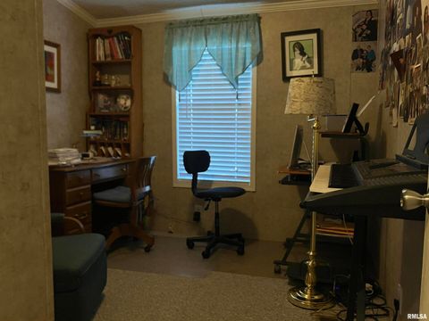 Tiny photo for 557 TWIN OAKS Drive, Cobden, IL 62920 (MLS # EB460456)