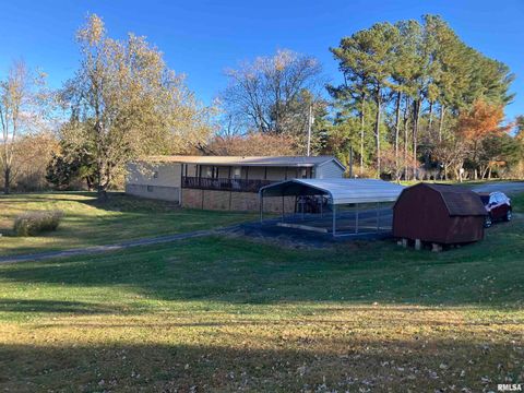 Tiny photo for 557 TWIN OAKS Drive, Cobden, IL 62920 (MLS # EB460456)