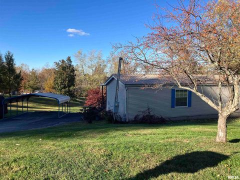 Tiny photo for 557 TWIN OAKS Drive, Cobden, IL 62920 (MLS # EB460456)