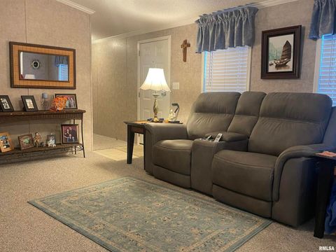 Tiny photo for 557 TWIN OAKS Drive, Cobden, IL 62920 (MLS # EB460456)