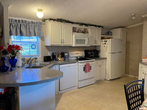 Tiny photo for 557 TWIN OAKS Drive, Cobden, IL 62920 (MLS # EB460456)