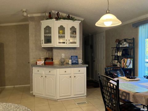 Tiny photo for 557 TWIN OAKS Drive, Cobden, IL 62920 (MLS # EB460456)